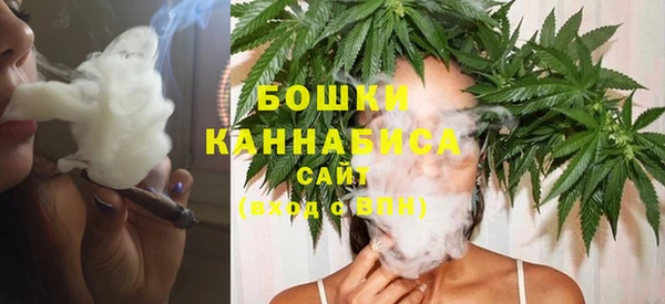 ГАЛЛЮЦИНОГЕННЫЕ ГРИБЫ Грязовец